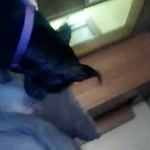 Meet your Posher, Jade